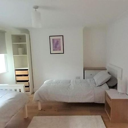 2 Bedroom Victorian Garden Flat London Eksteriør billede