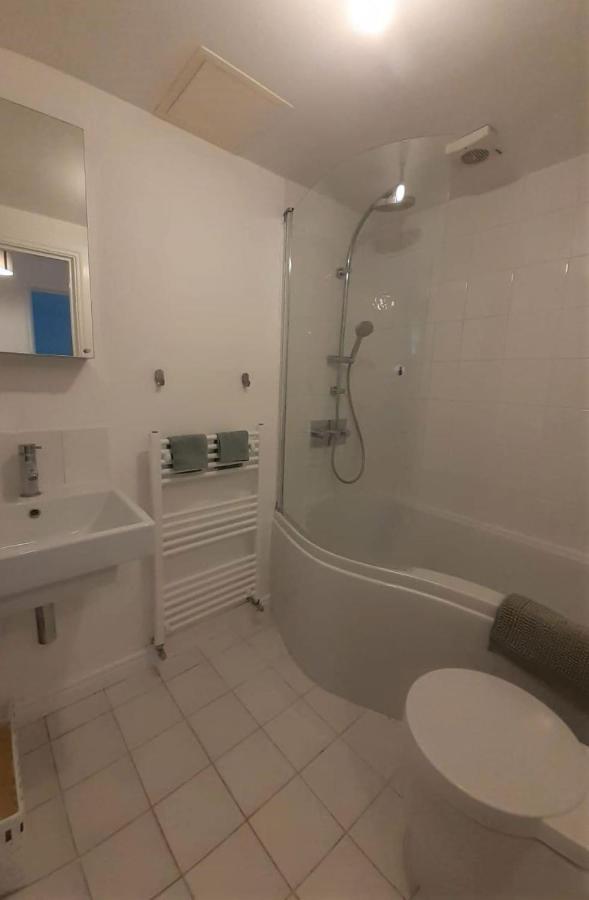 2 Bedroom Victorian Garden Flat London Eksteriør billede