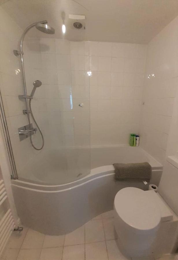 2 Bedroom Victorian Garden Flat London Eksteriør billede